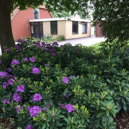 Speldehof Bed & Breakfast Kraggenburg Ngoại thất bức ảnh